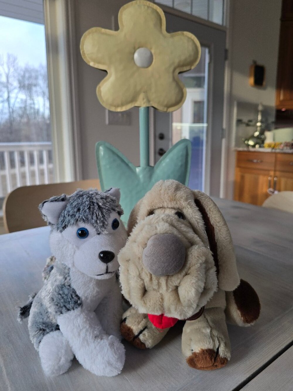 Puppy Love, WRINKLES and Blue eyes